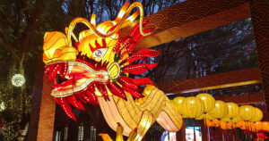 Ano Novo Chinês é um elemento fundamental para a identidade cultural chinesa