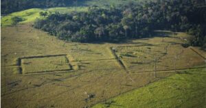 Arqueologia amazônica e o futuro da floresta serão temas da 2ª Conferência Fapesp de 2024
