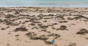 Praias brasileiras estão altamente poluídas por microplástico, indicam primeiros resultados de estudo
