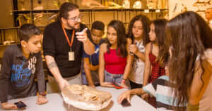 Museu da USP ensina como usar seu acervo em aulas sobre biodiversidade e zoologia