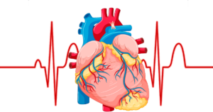 Implante de cardiodesfibrilador é mais comum do que se imagina, afirma especialista