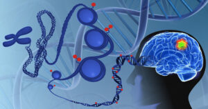 Tratamento contra câncer de cérebro modifica a forma como o DNA tumoral se comporta
