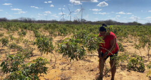 “Mulheres Fortes” narra resiliência de moradoras do Piauí com a chegada de parques eólicos