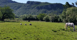 Rever política de financiamento rural pode promover menor impacto ambiental