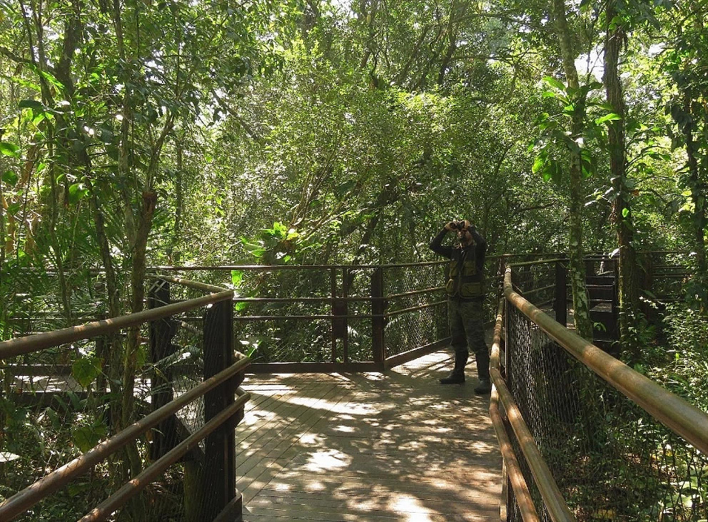 homem usa um binóculo em cima de um caminho de madeira dentro do parque