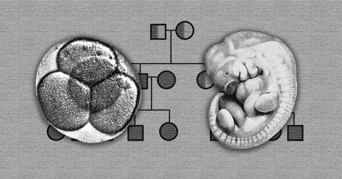 Imagem em preto e branco mostra de um lado células embrionárias, e de outro um embrião mais desenvolvido. Ao fundo aparece o diagrama de herança genealógica, com círculos e quadradinhos ligados por traços