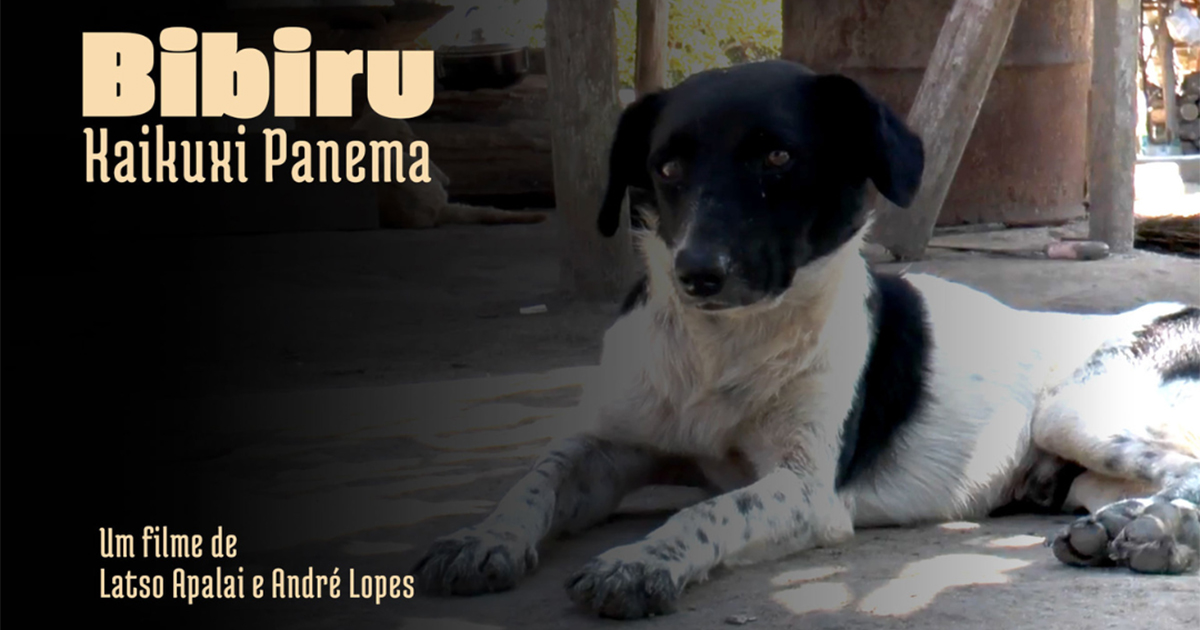 Poster do documentário Bibiru: kaikuxi panema