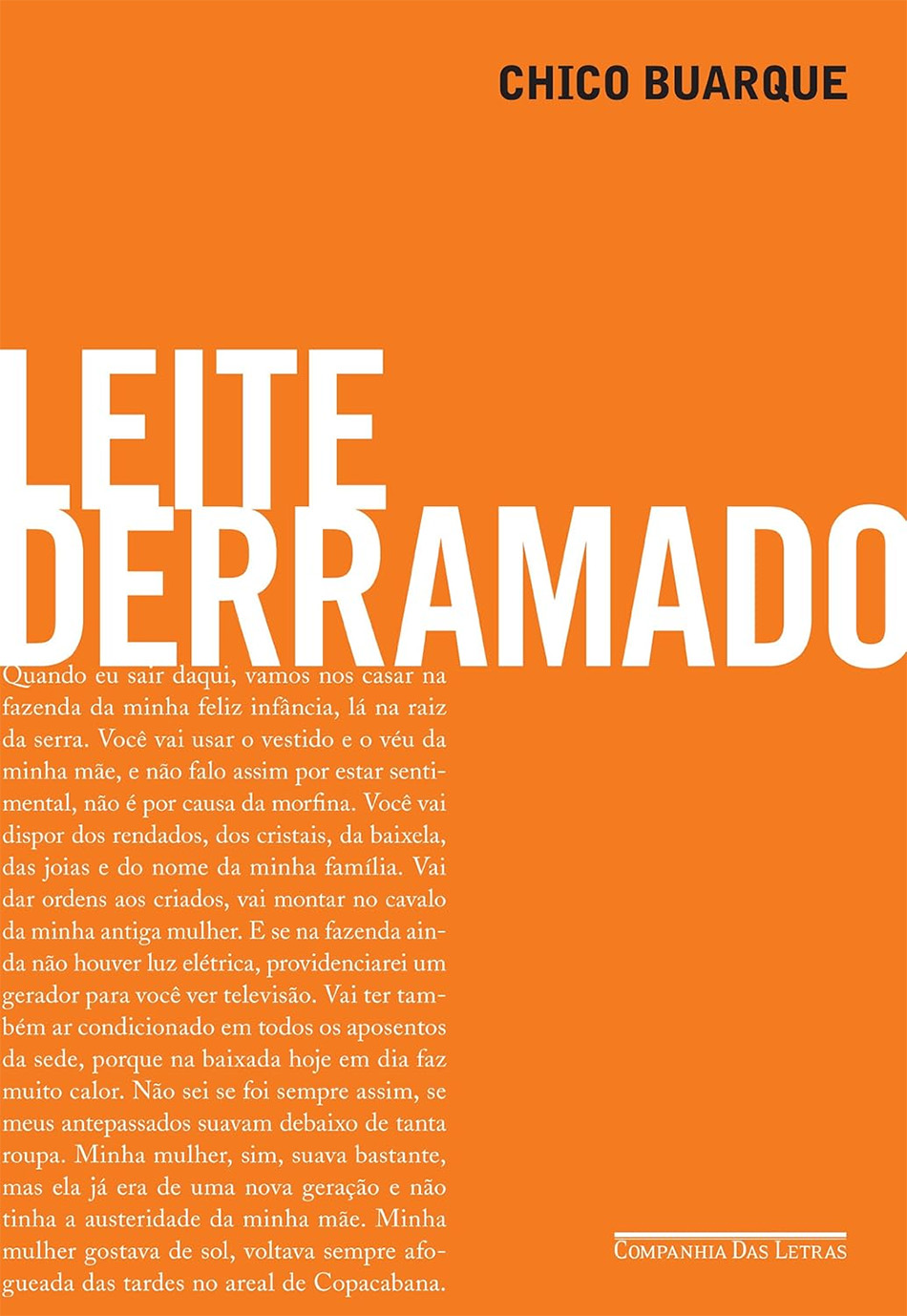 Capa de livro com letras grandes.