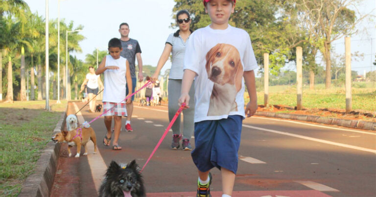 Pessoas caminhando ao lado de cães na coleira