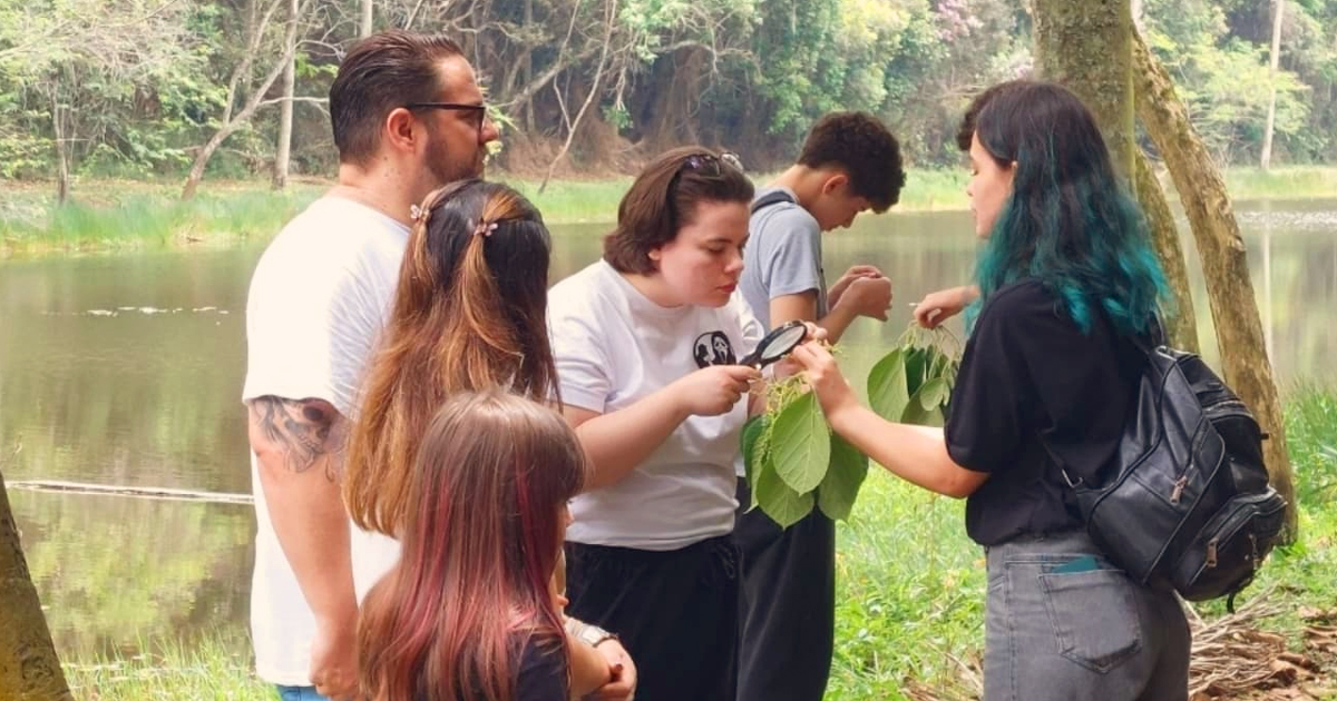 Grupo de seis pessoas numa trilha de parque com árvores e uma das pessoas seguranda uma planta e outra observando com uma lupa