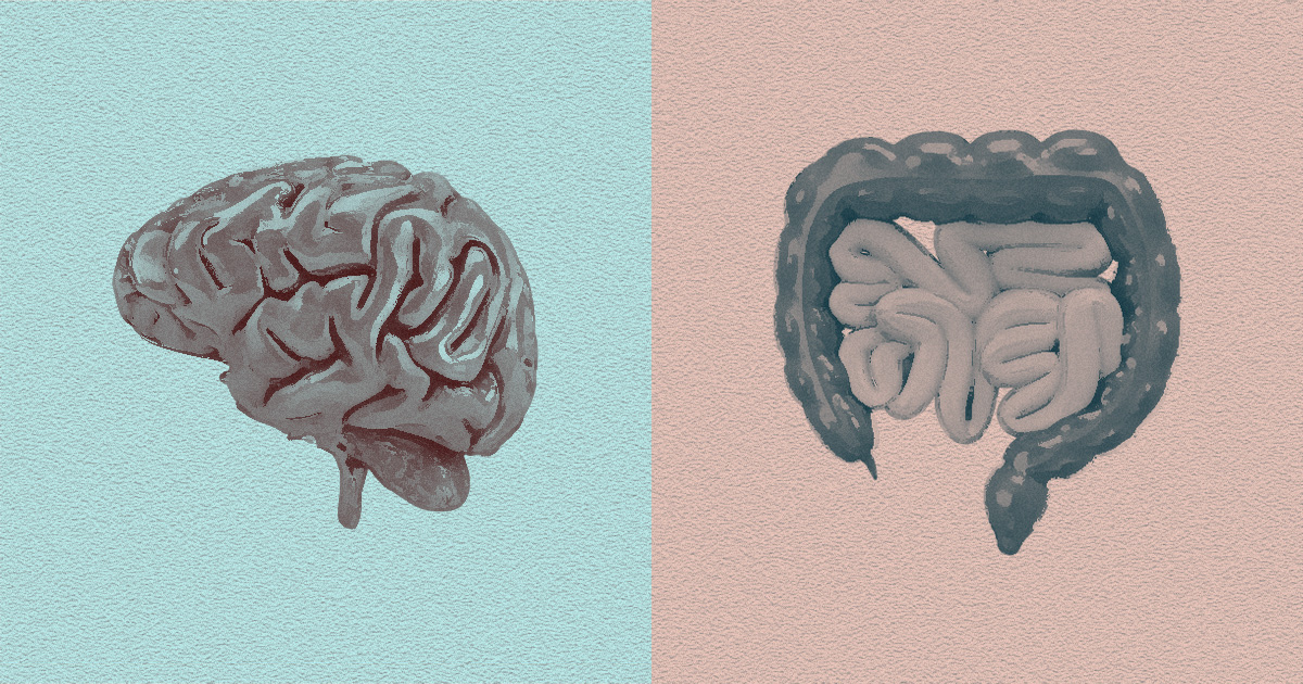 O que a ciência já sabe sobre a conexão cérebro e intestino?