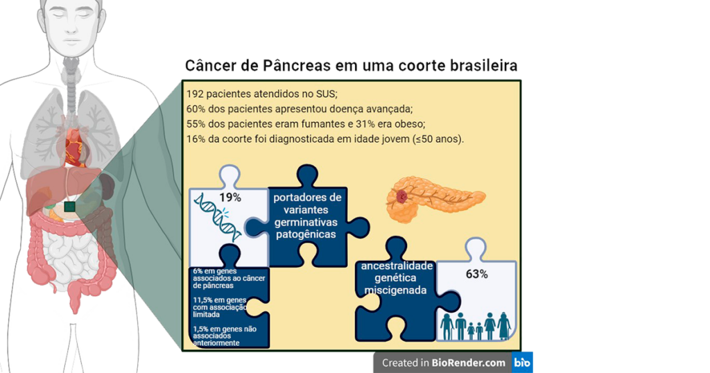 Infográfico com dados do estudo expostos em peças de quebra cabeça ligados a uma imagem de uma pessoa com o pâncreas em destaque