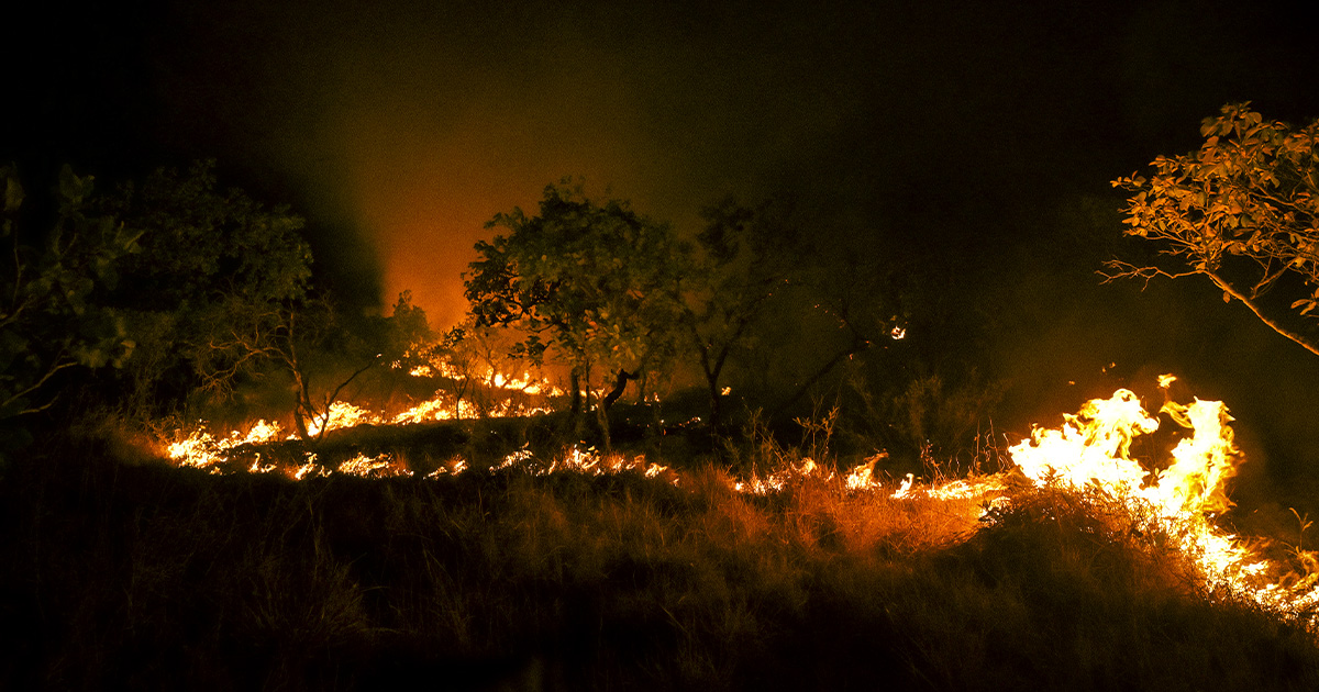 Duas secas: como falta de chuvas e baixa umidade do solo agravam incêndios na Amazônia