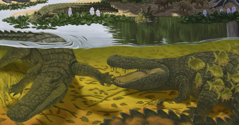 ilustração de diferentes espécies de crocodilianos pré-históricos em um ambiente úmido e com variedade de fauna e flora.