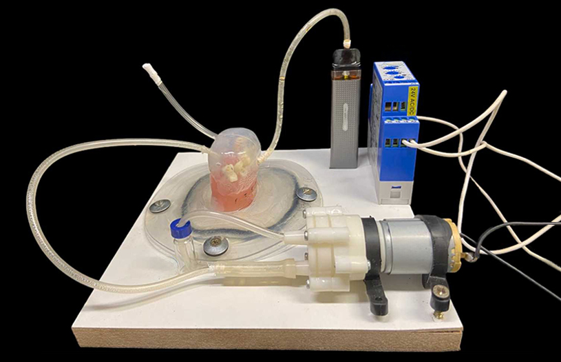 Máquina que simula o tabagismo composta por um cigarro eletrônico, amostras de dentes e um motor