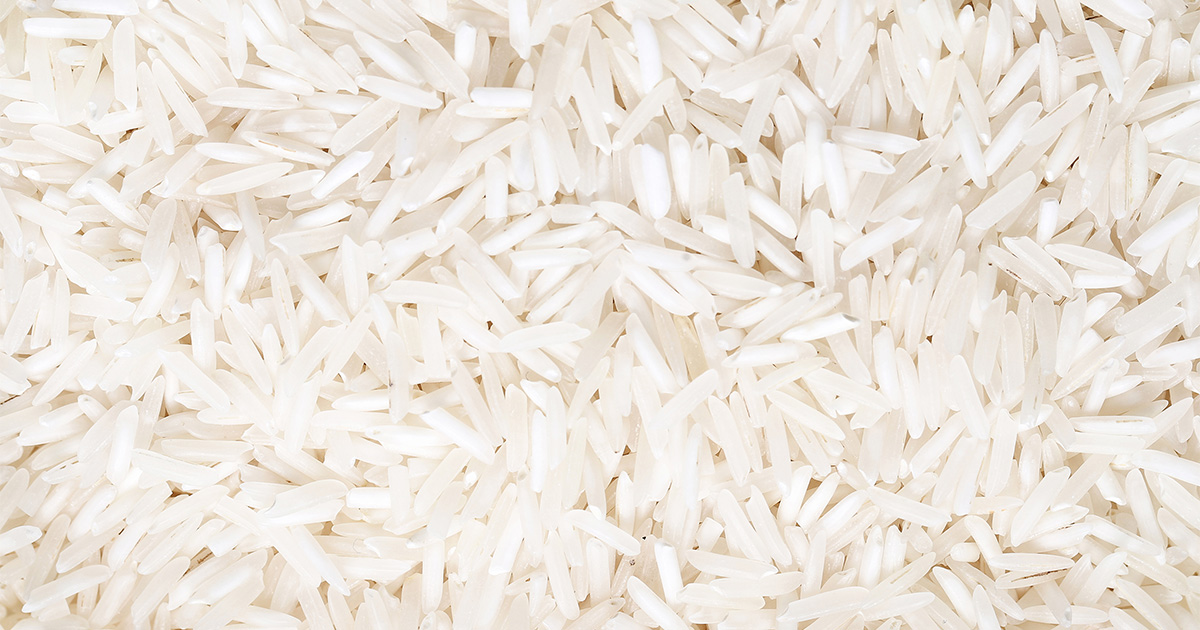 Ciência brasileira inova para produzir arroz com menor impacto ambiental