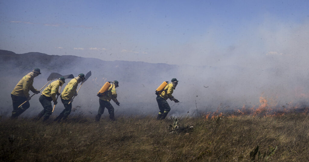 Brigadistas usam equipamentos específicos para combater o fogo em um campo aberto em região de Cerrado. Todos estão uniformizados e usam bonés, luvas, lenços e óculos de proteção para se protegerem da fumaça e das chamas.