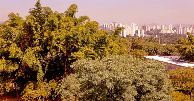 Area Verde em torno do campus Capital da USP.