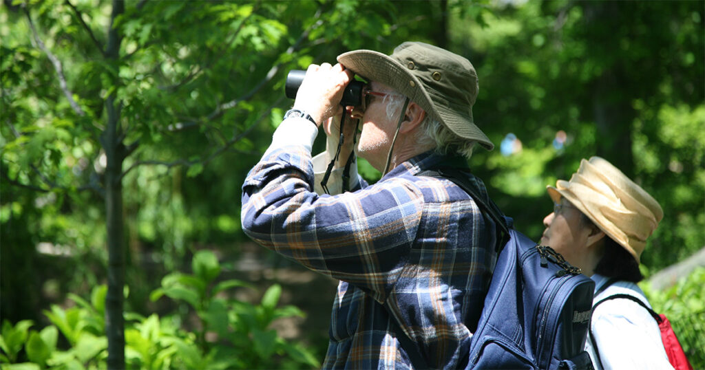 Um homem e uma mulher observando uma área verde. Os dois estão usando chapéus e homem utiliza um binóculo para observação.