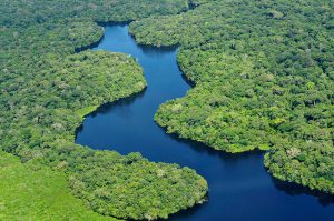 “Ambiente é o Meio” apresenta situação ambiental da Amazônia