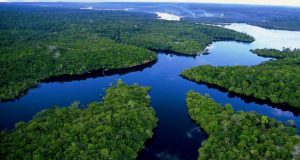O “desenvolvimento insustentável” na Amazônia