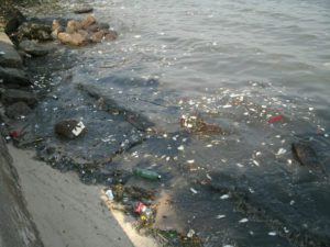 Pequenos materiais também poluem o ambiente marinho