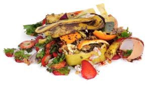 A importância da reciclagem de alimentos