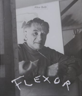 Capa do livro Flexor - Foto: Reprodução/Marcos Santos