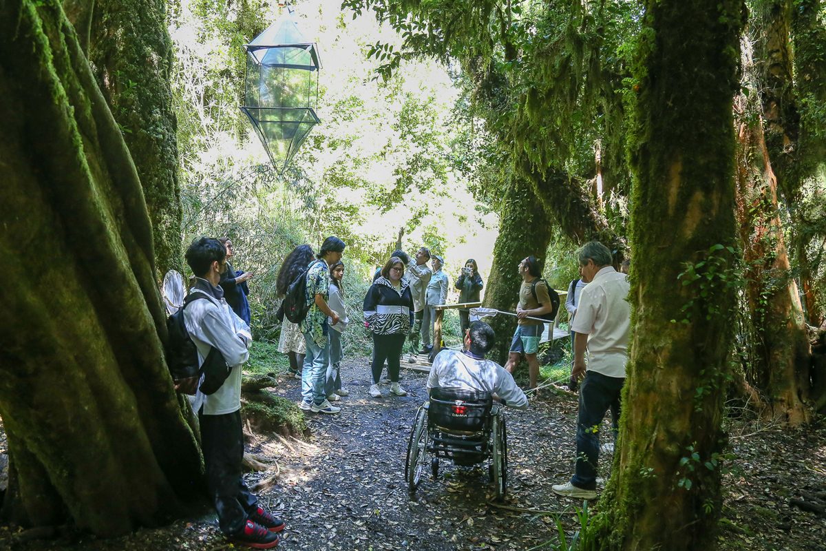 Atividade de divulgação científica no Parque Nacional Puyehue - Foto: Cecília Bastos/USP Imagens