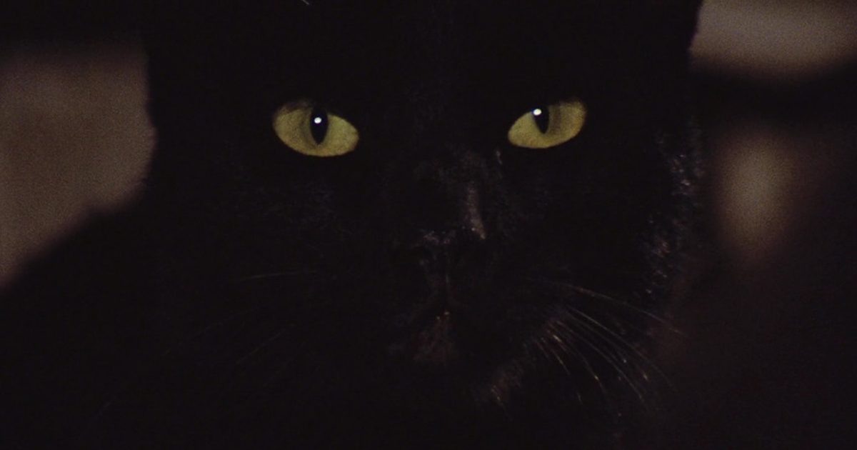 Cena do filme "O Gato Negro" - Foto: Reprodução/Cinusp