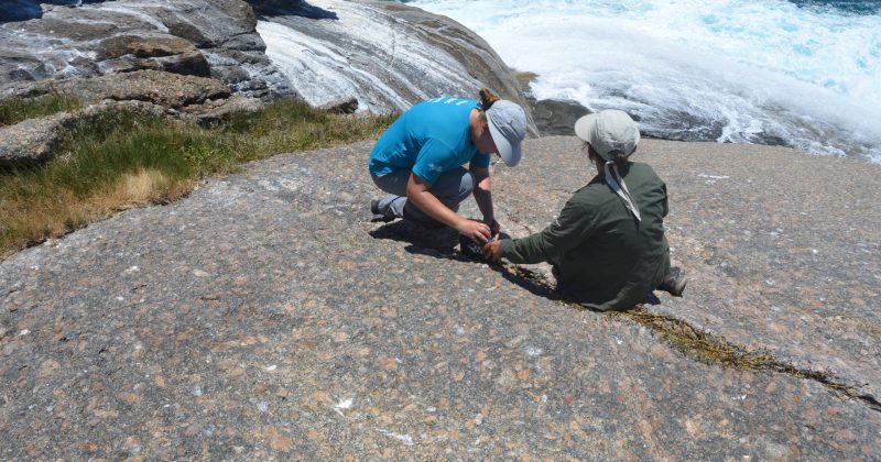 Uso da bússola geológica para descobrir orientação de camadas da rocha no Arquipélago de Alcatrazes - Foto: GeoHereditas
