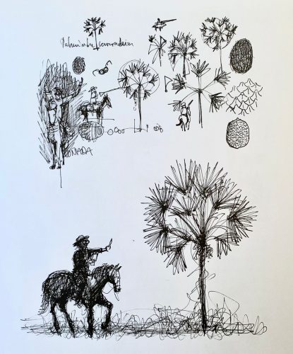 Ilustração de Cláudio Reis publicada no livro "João e o Pé de Sertão" - Foto: Reprodução