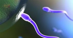 Doença assintomática é a principal causa de infertilidade masculina