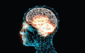 USP Analisa aborda pesquisas em neurociência