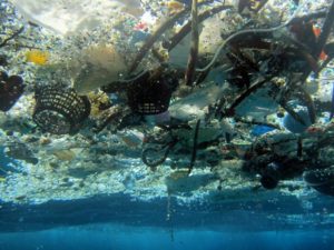 Contaminação oceânica atinge a saúde humana