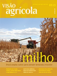 Nova edição da Revista Visão Agrícola aborda desafios da cultura do milho